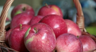 Top 3 recepty na výrobu džemu z letních odrůd jablek